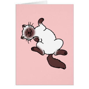 Siamesische Katze des niedlichen