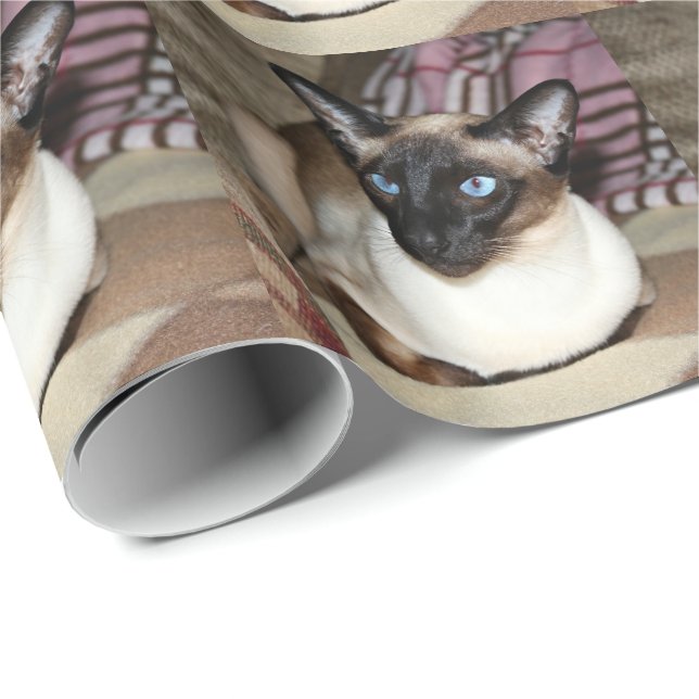 Siamesische Katze, die auf Couch sich entspannt Geschenkpapier (Rolleneckpunkt)