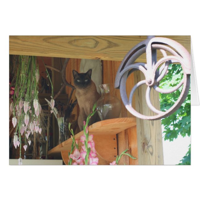 Siamesische Katze, die Fotografie-Karte #2 (Vorderseite (Horizontal))