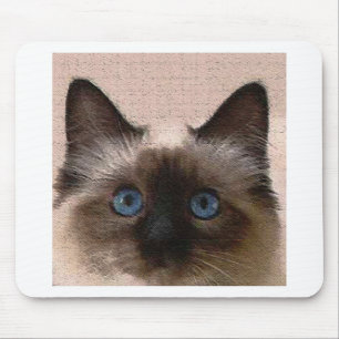 Siamesische Katze knistern alt gealtert rissig Hal Mousepad