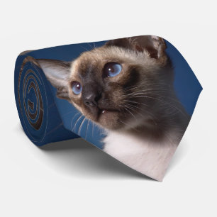 Siamesische Katze mit blauen Augen Krawatte