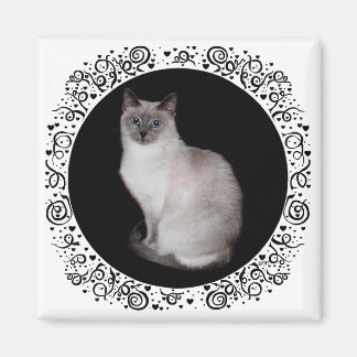 Siamesische Katze mit blauen Augen Magnet