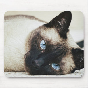 Siamesische Katze Mousepad