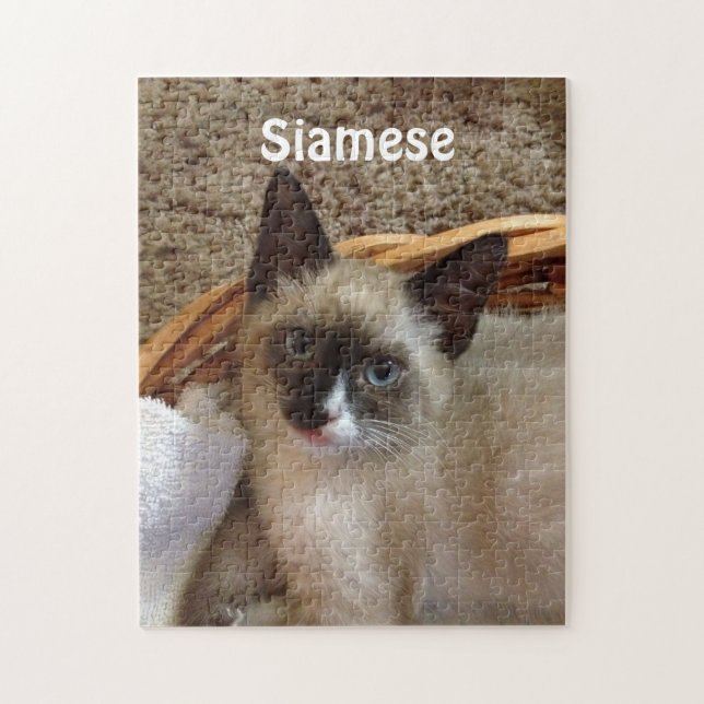 Siamesische Katze niedlich (Vertikal)