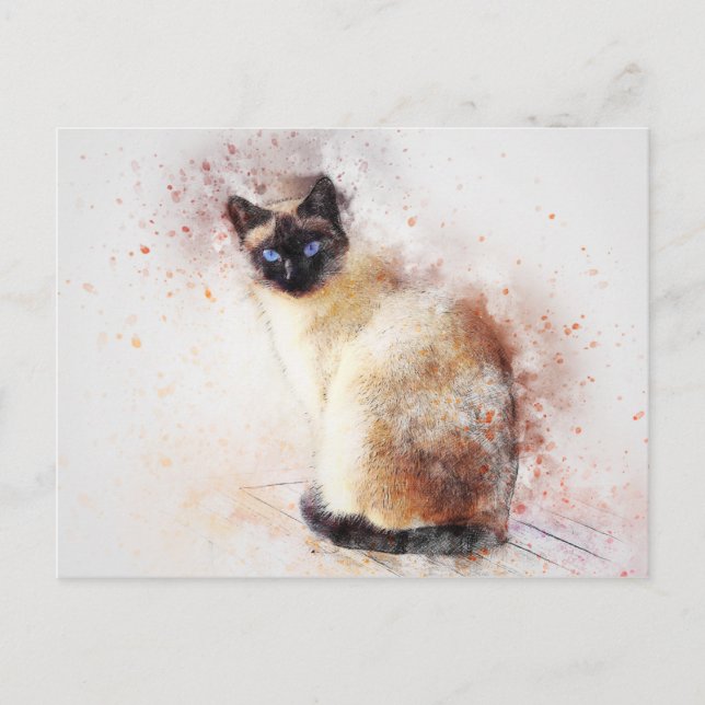 Siamesische Katze Postkarte (Vorderseite)