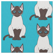 Siamesische Katze