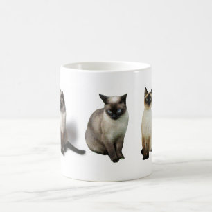 Siamesische Katzen Kaffeetasse