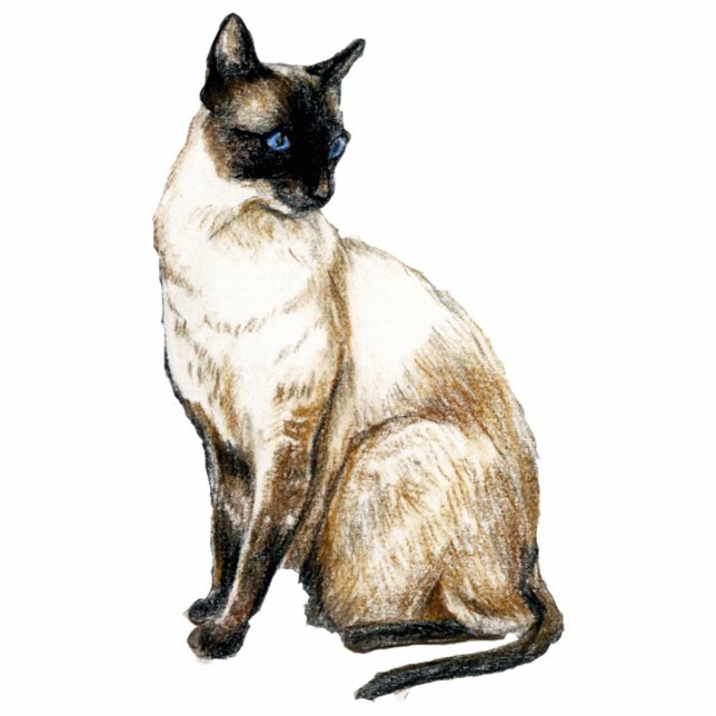 "Siamesische Katzen-" Kunst-Foto-Skulptur Freistehende Fotoskulptur (Vorne)
