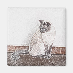 Siamesische Katzen-Magnet Magnet