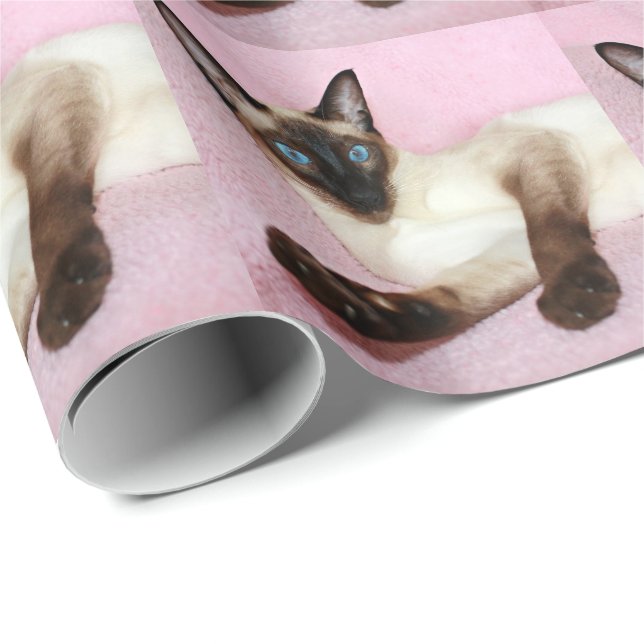 Siamesische Katzen-Rosa-Hintergrund Geschenkpapier (Rolleneckpunkt)