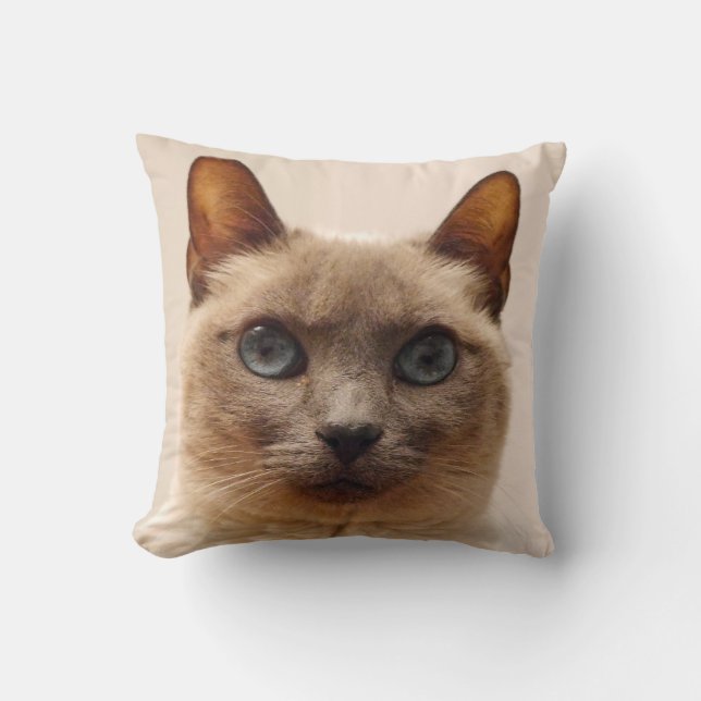 Siamesische Katzen-Wurfs-Kissen Kissen (Vorderseite)