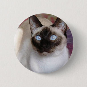 SIAMESISCHE SCHÖNHEIT BUTTON