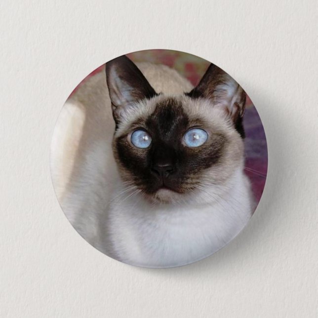 SIAMESISCHE SCHÖNHEIT BUTTON (Vorderseite)