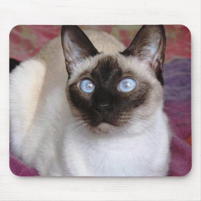 SIAMESISCHE SCHÖNHEIT MOUSEPAD (Vorne)