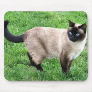 SIAMESISCHE SCHÖNHEIT MOUSEPAD