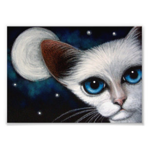 SIAMESISCHER CAT 7" x 5", Kodak-Foto-Papier Fotodruck