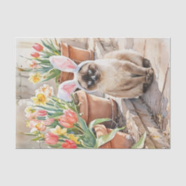 Siamesisches Häschen Süßes Osterkatze mit Tulpen Seidenpapier