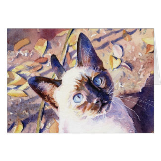 Siamesisches Kätzchen