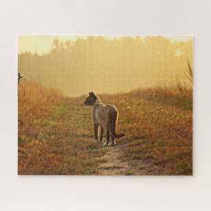 Siamesisches Katzenpuzzle