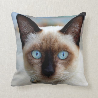 Siamesisches Miezekatze-Gesicht Kissen