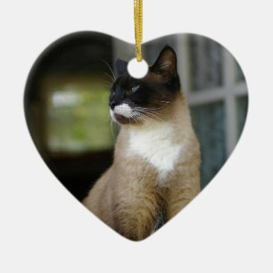 Siamische Katze auf der Porsche Keramikornament