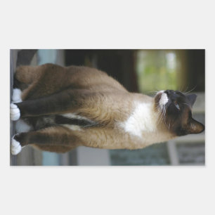Siamische Katze auf der Porsche Rechteckiger Aufkleber