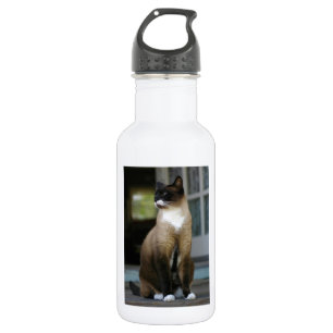 Siamische Katze auf der Porsche Trinkflasche