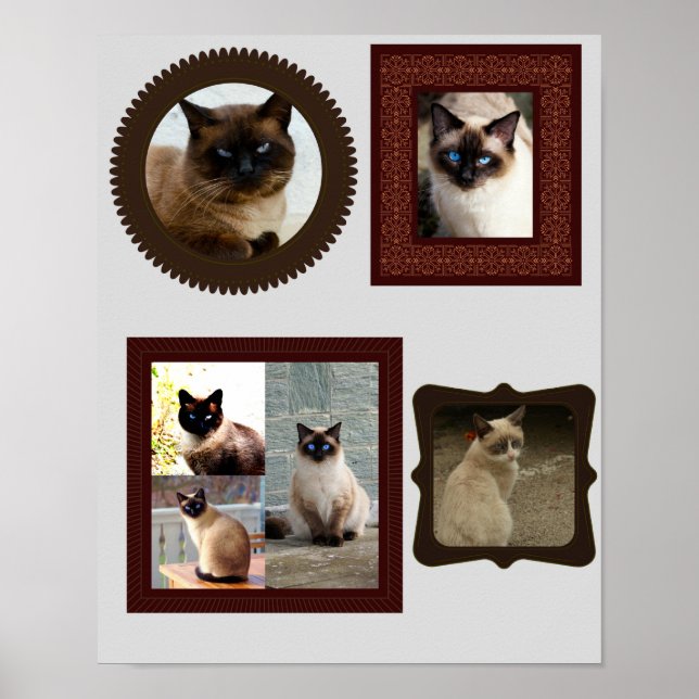 Siamische Katzenfamilie Foto Geschenk Poster (Vorne)