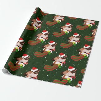 Siamische Katzenjause mit Strumpf und Weihnachtsma Geschenkpapier