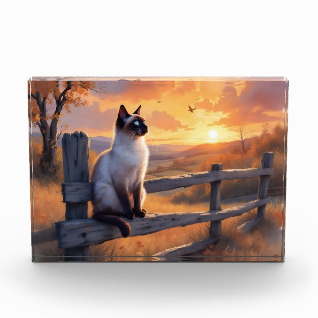 Siamkatze auf Splitterzaun Fotoblock (Vorderseite)