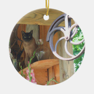 Siamkatze auf Tierschmuck Keramik Ornament