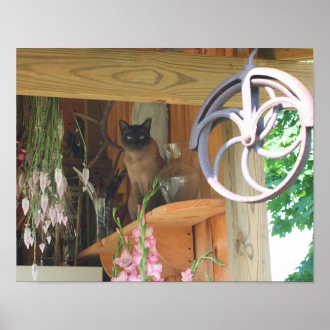 Siamkatze, die sich auf einem Haltestier befindet Poster (Vorne)