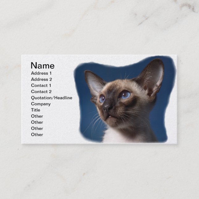 Siamkatze mit blauen Augen Visitenkarte (Vorderseite)