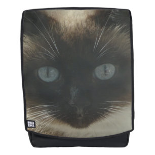 Siamkatze mit Blue Eyes Adult Rucksack