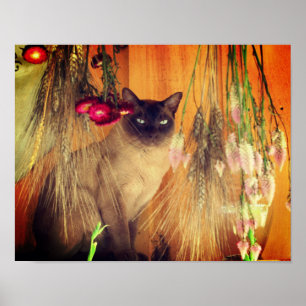 Siamkatze mit Blume Poster