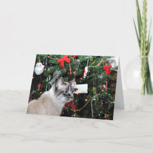 Siamkatze und Weihnachtsbaum Feiertagskarte