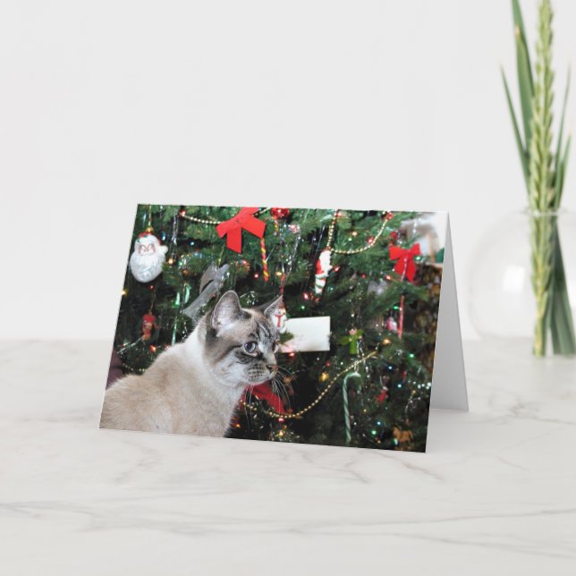 Siamkatze und Weihnachtsbaum Feiertagskarte (Vorderseite)