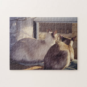 Siamkatzen Zwei am Fenster (2)
