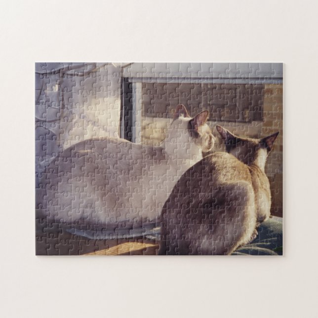 Siamkatzen Zwei am Fenster (2) (Horizontal)