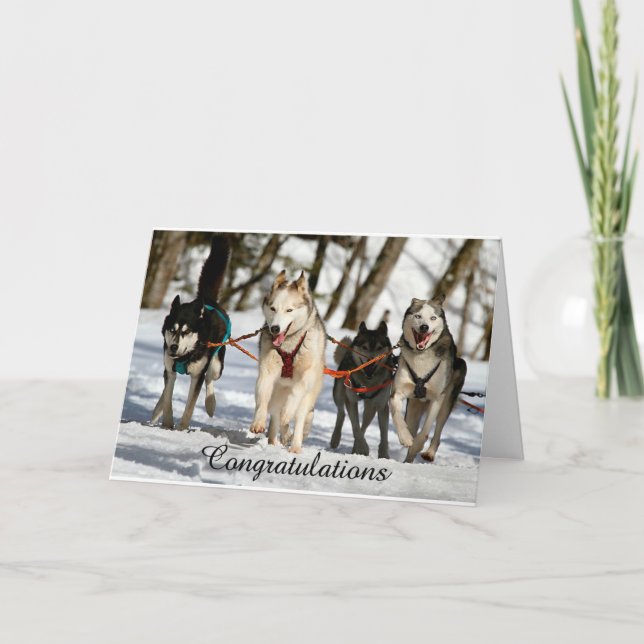 Siberian Husky Abschluss Card Karte (Vorderseite)