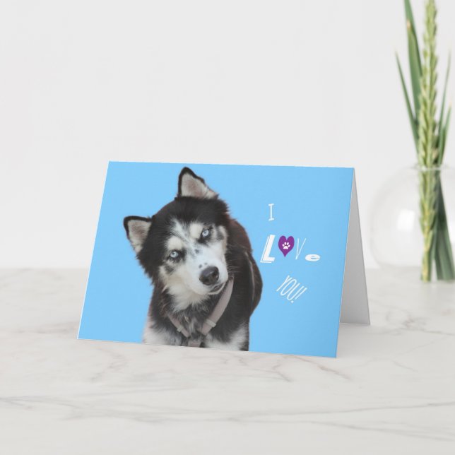 Siberian Husky Birthday Card Karte (Vorderseite)