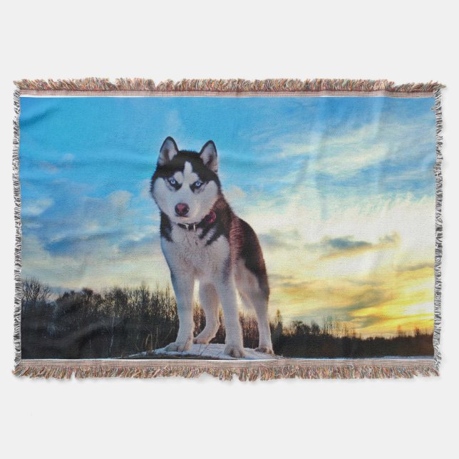 Siberian Husky Decke (Vorderseite)