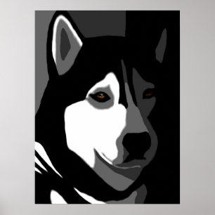 Siberian Husky Dog 162 Poster