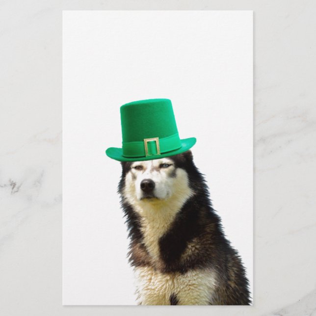 Siberian Husky Dog St. Patrick's Day Briefpapier (Vorderseite)