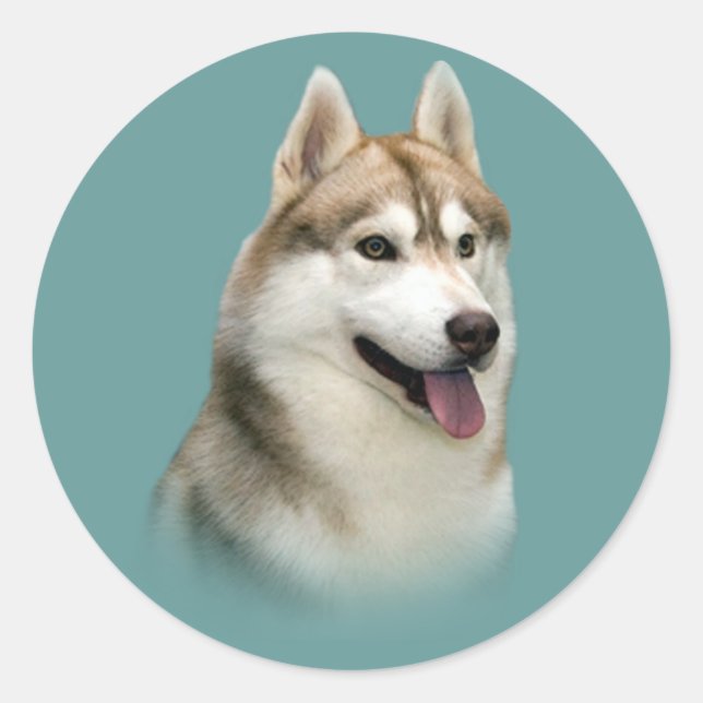 Siberian Husky Gorgeous Sticker (Vorderseite)