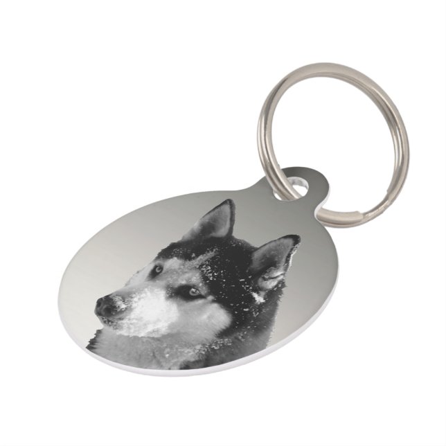 Siberian Husky Huskybild Haustiermarke (Seite)