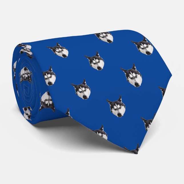 Siberian husky krawatte (Gerollt)