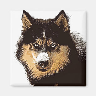 Siberian Husky Magnet