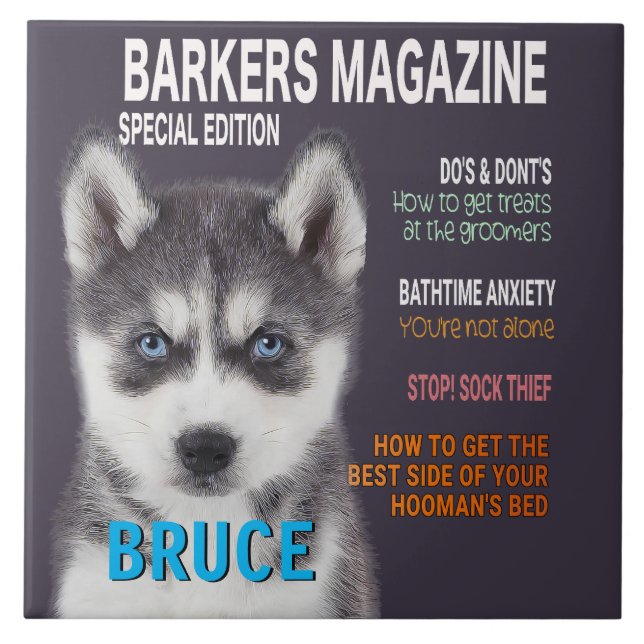 Siberian Husky Parody Magazine Cover Foto Print Fliese (Vorderseite)