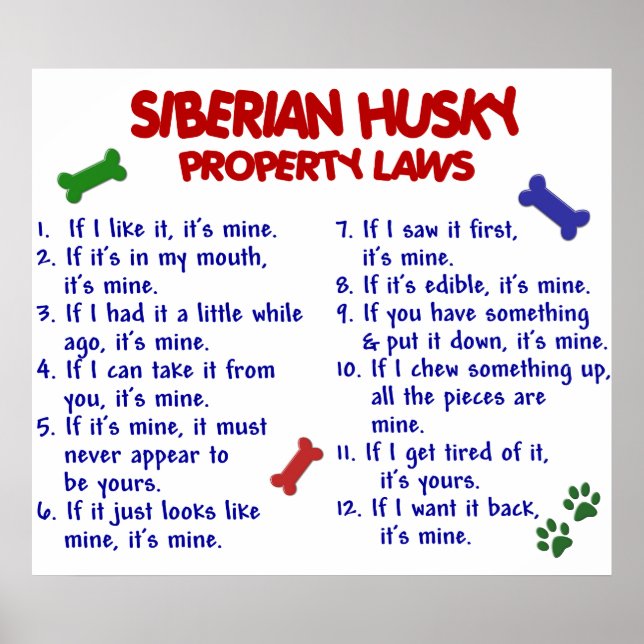 SIBERIAN HUSKY PL2 POSTER (Vorne)